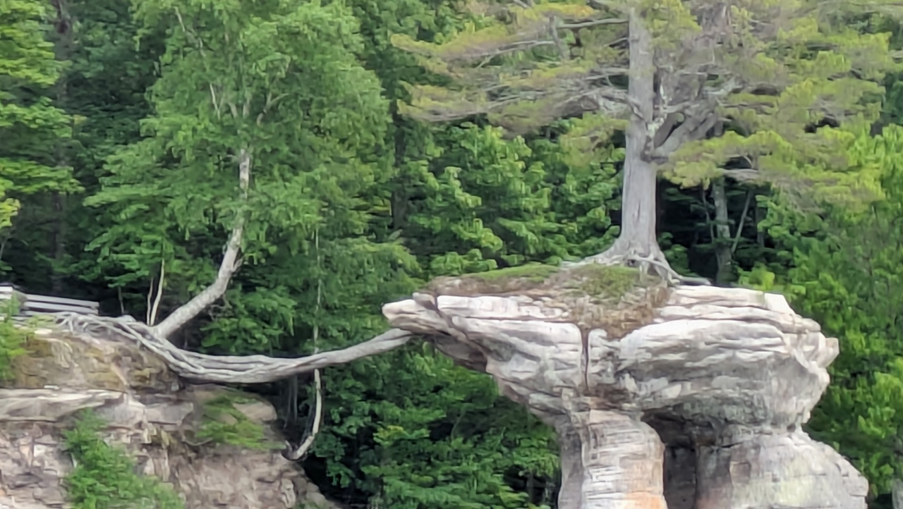 “Chapel Rock Arch” that Supported Roots Fell Many Years Ago