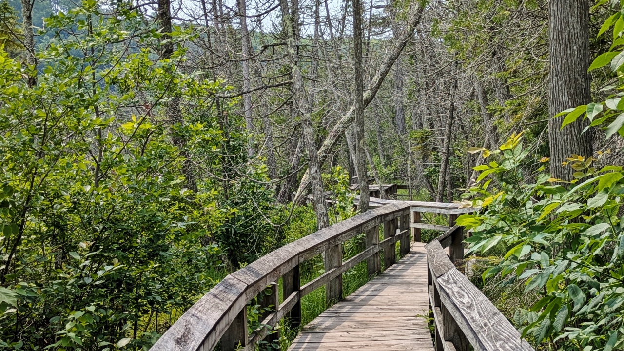 Boardwalk of Sand Marsh Trail
