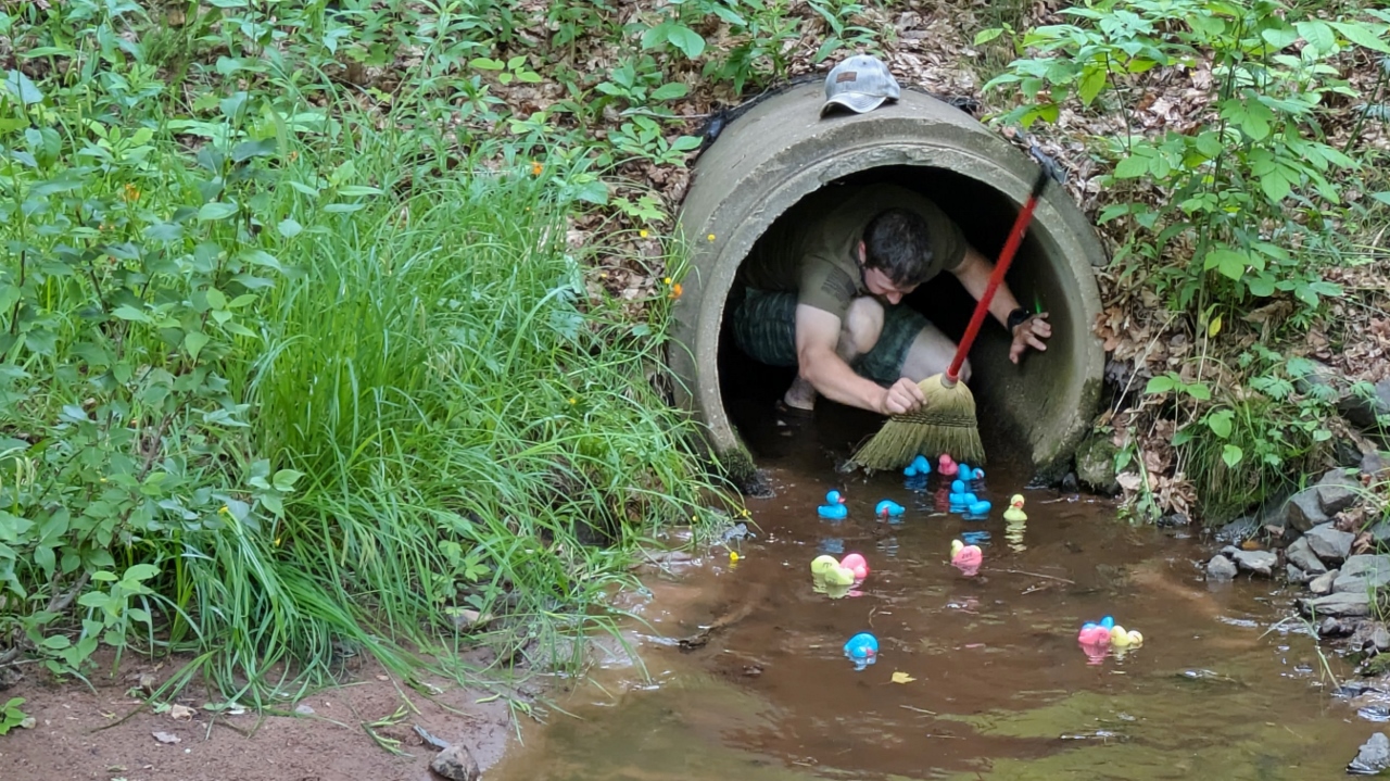 Even if They Have to be Helped Through a Culvert
