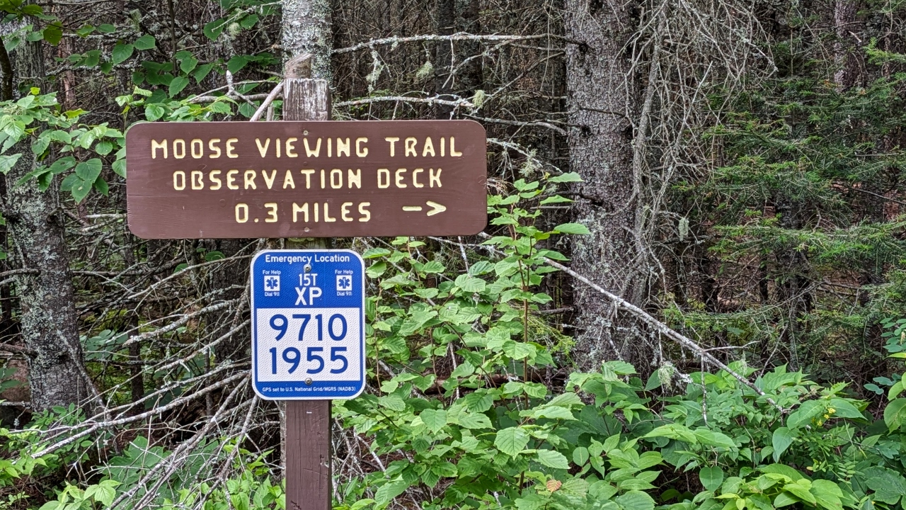 20250721_164105736-Just-a-Short-Walk-to-See-Moose