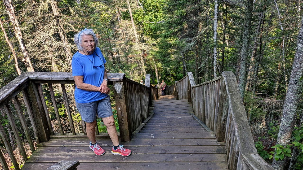 A Few of the Stairs on Way to Falls