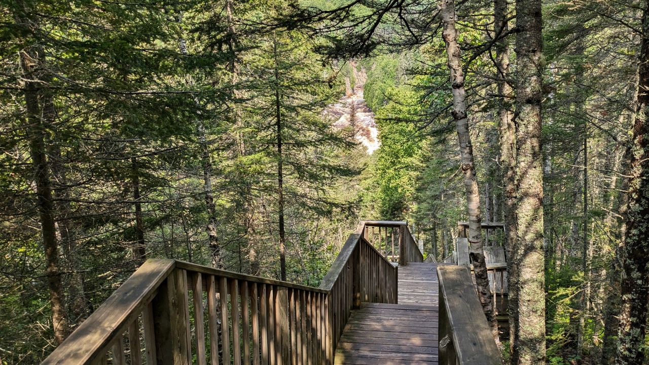Just a few More Stairs, Bill