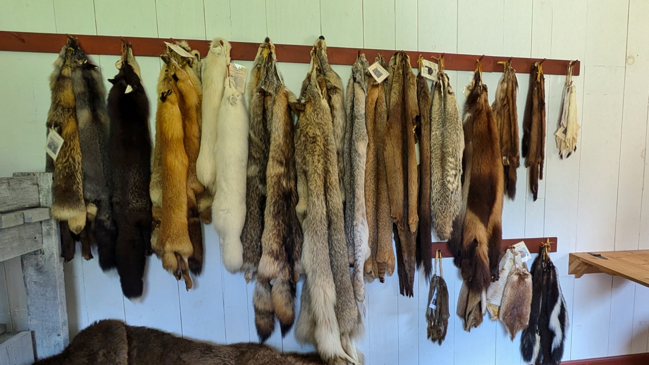 Touch-Me Wall of Animal Pelts