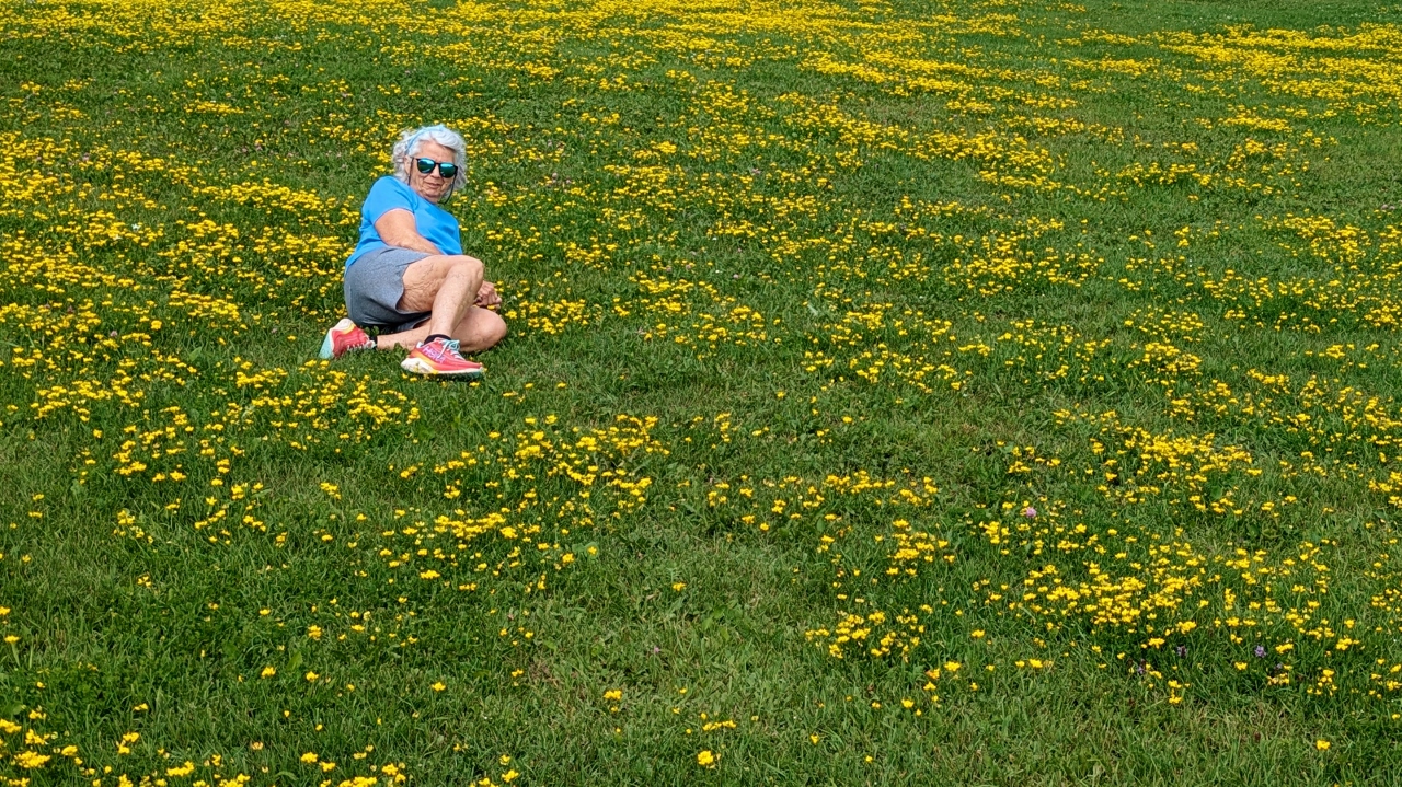 Sandy Enjoys Being Close to Field of Birdsfoot Trefoil