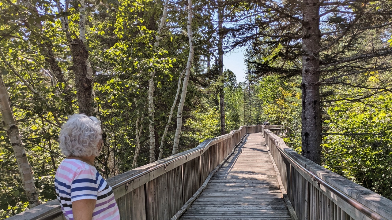 Trail to Ouimet Canyon Overlook Begins with a Boardwalk