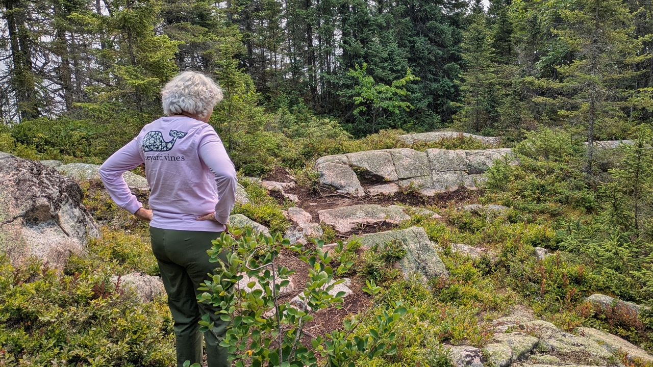 Which Way DOES this Trail Go?