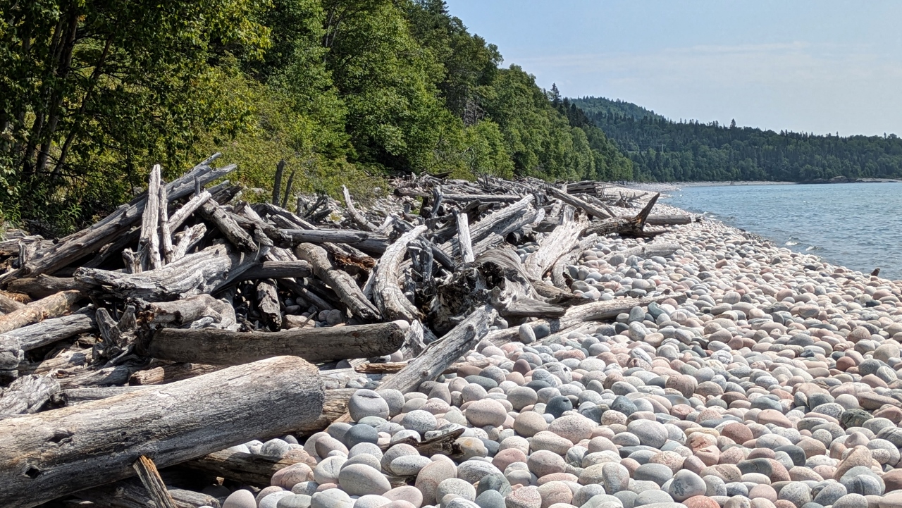 Driftwood Loves Pebbles