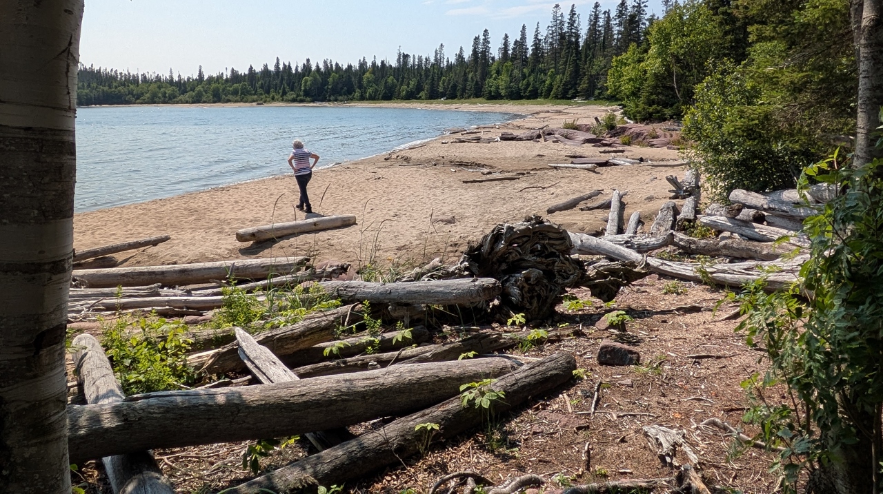 Sandy Loves to Walk Beaches