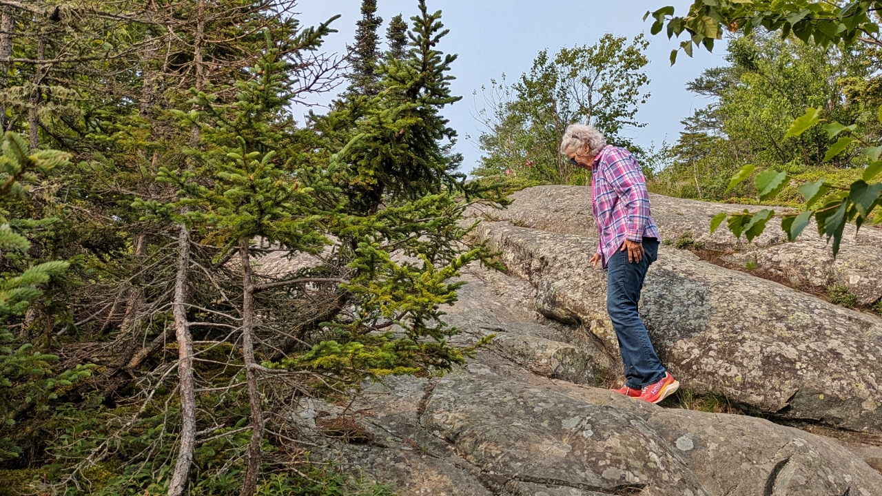 Much of Trail a Rock Scramble