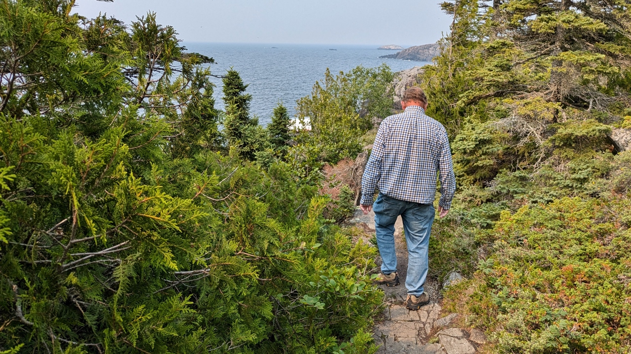 How Come We Never Show Bill on Tough Parts?