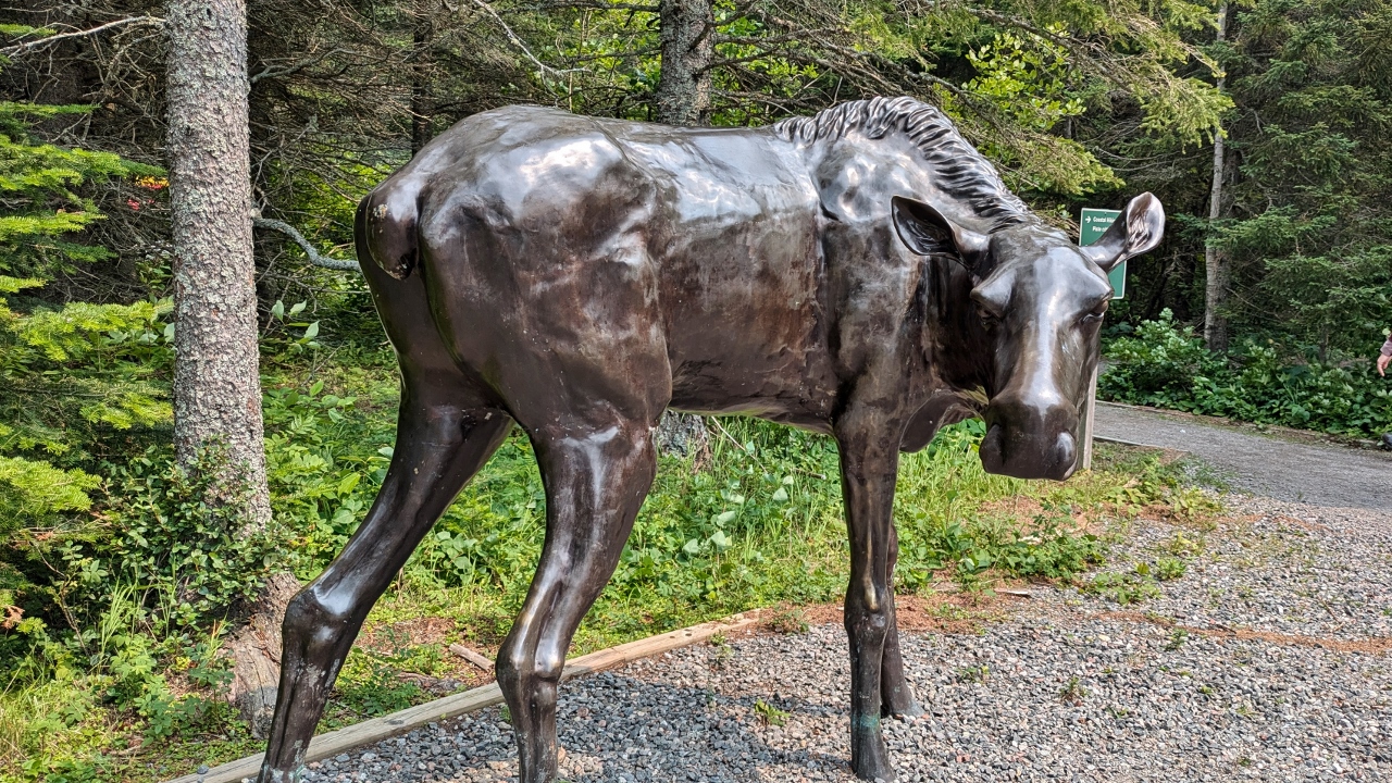 You Got a Problem Buddy?