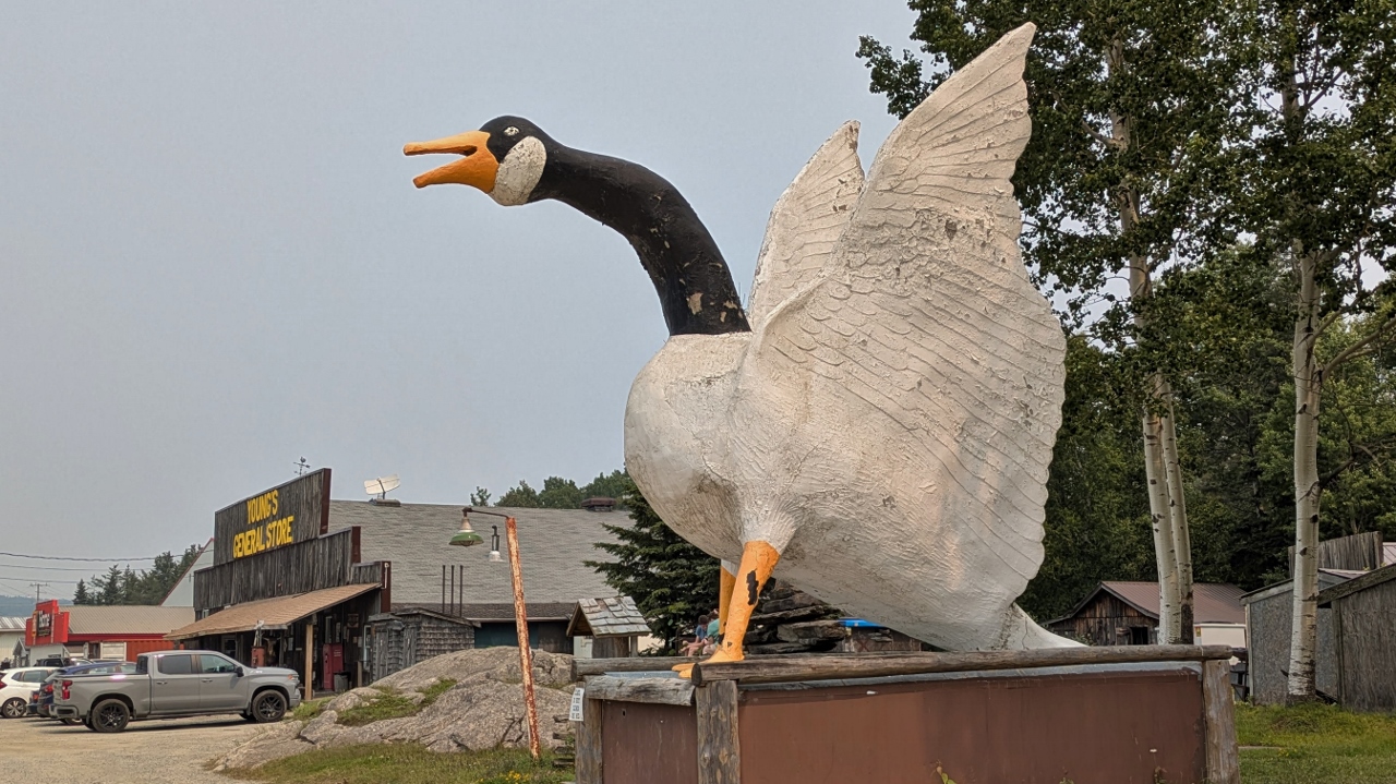 Another Goose Next to Young’s General Store