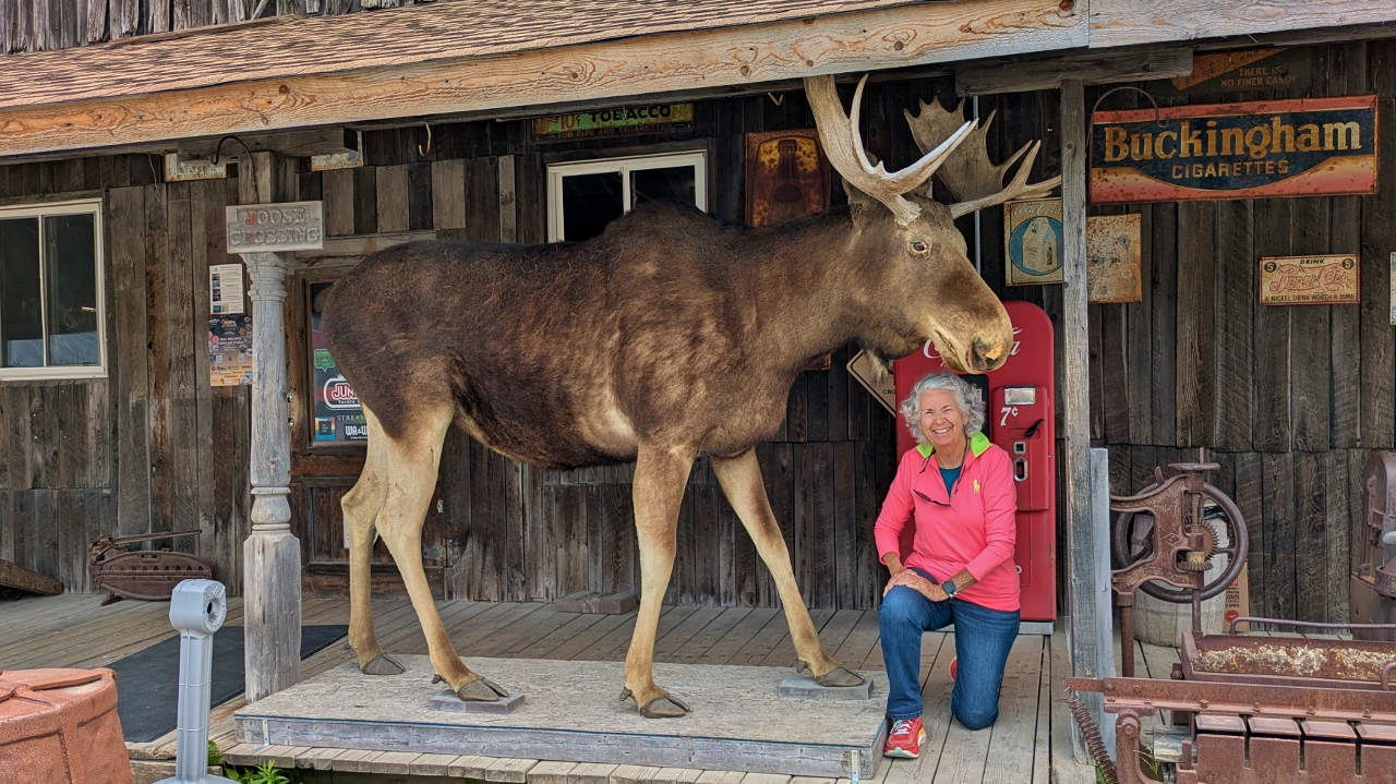 Sandy Makes Nice with Moose at Young's General Store