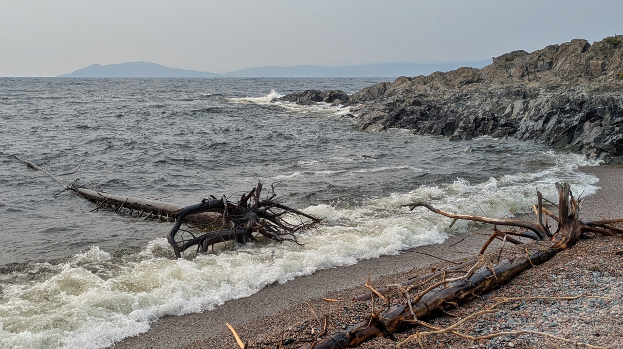 Not Much Evidence of Port Remains at Government Beach