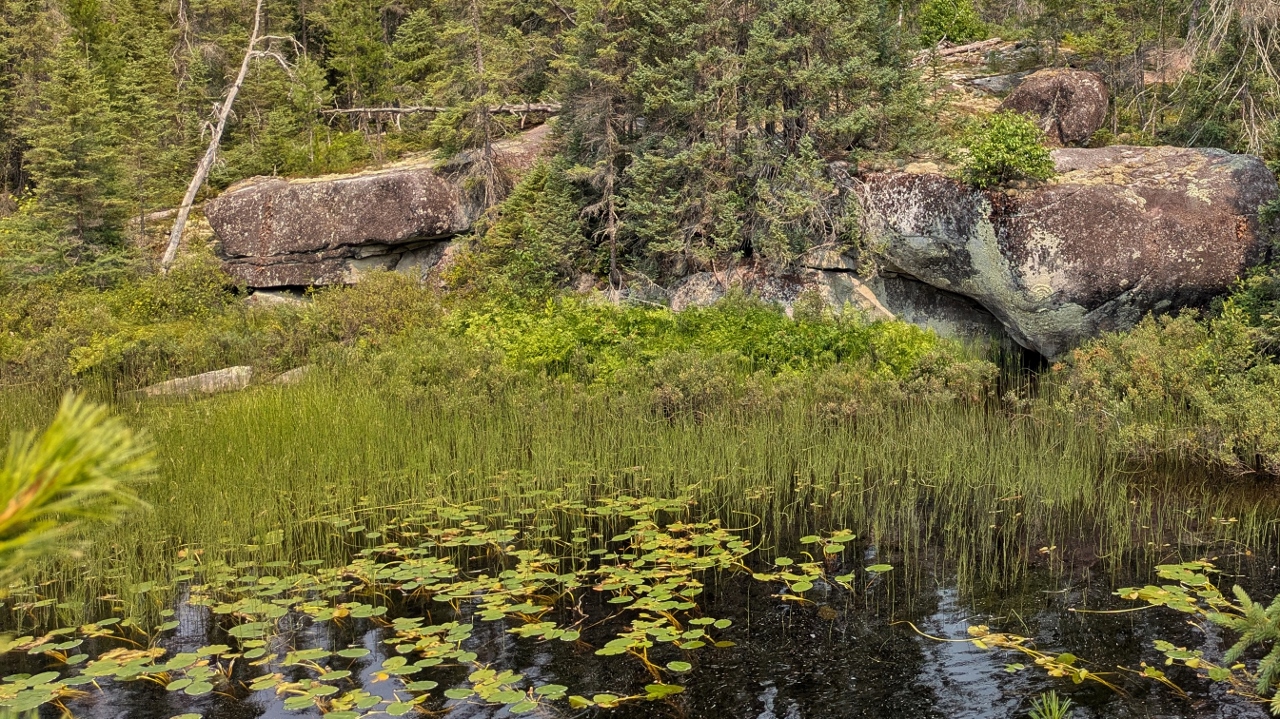 Quiet Pond Below Potholes