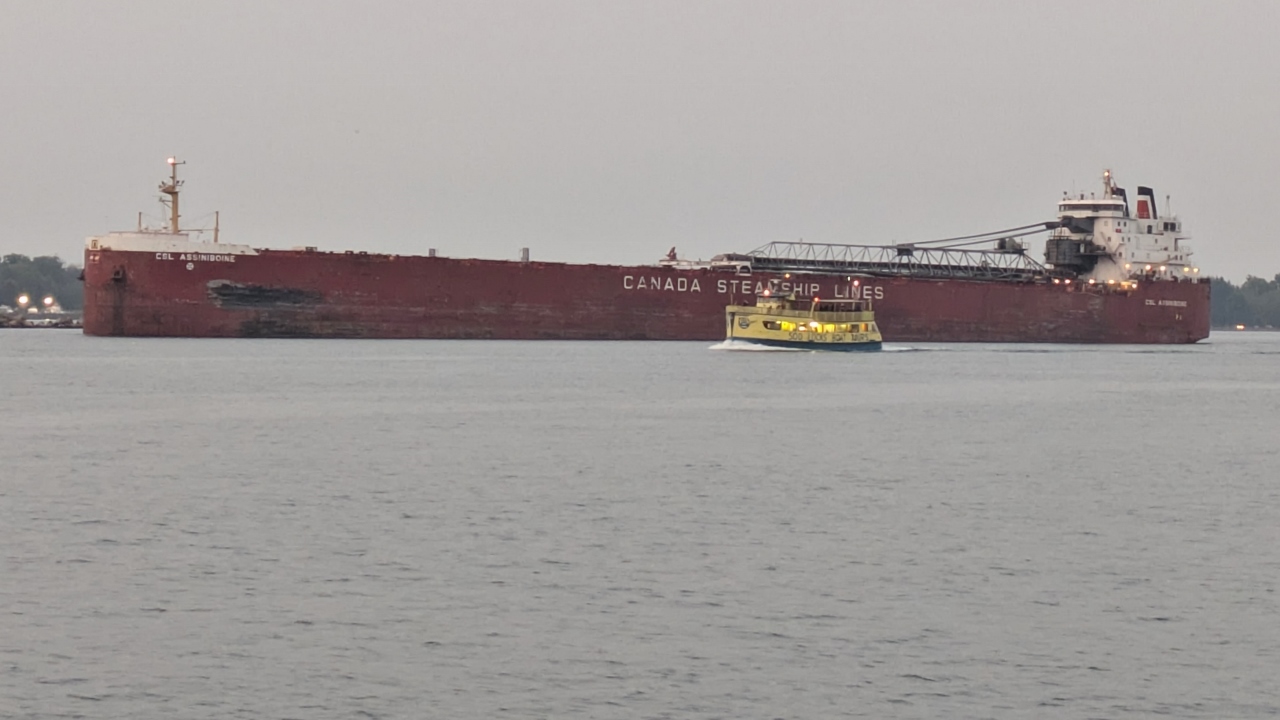 Upbound Bulk Carrier Is Passed By Tour Boat