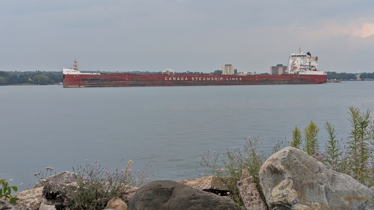 BoatNerd Enthusiasts Expected This Upbound Boat