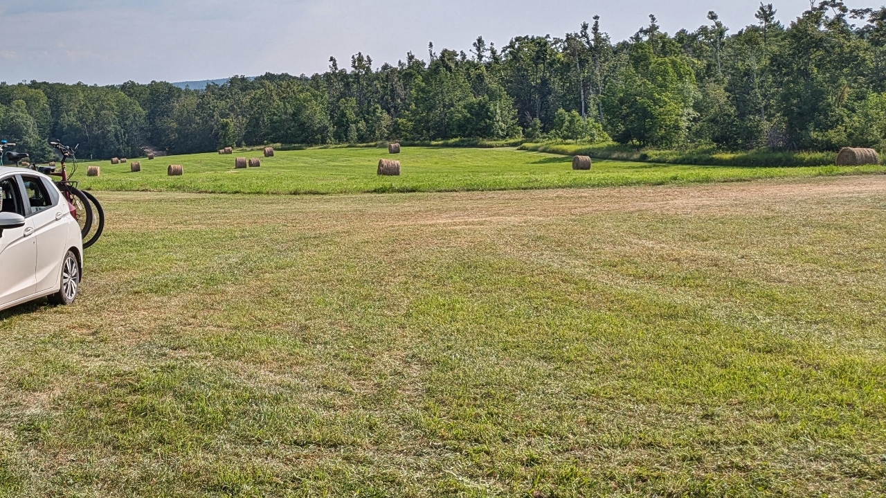 View from Our Camper at Rudbeckia Farm, Winery & Burnt Marshmallow Brewstillery