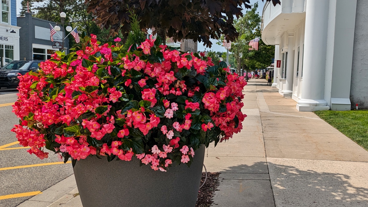 Downtown Petoskey Streets Were Lined with These Flower Pots