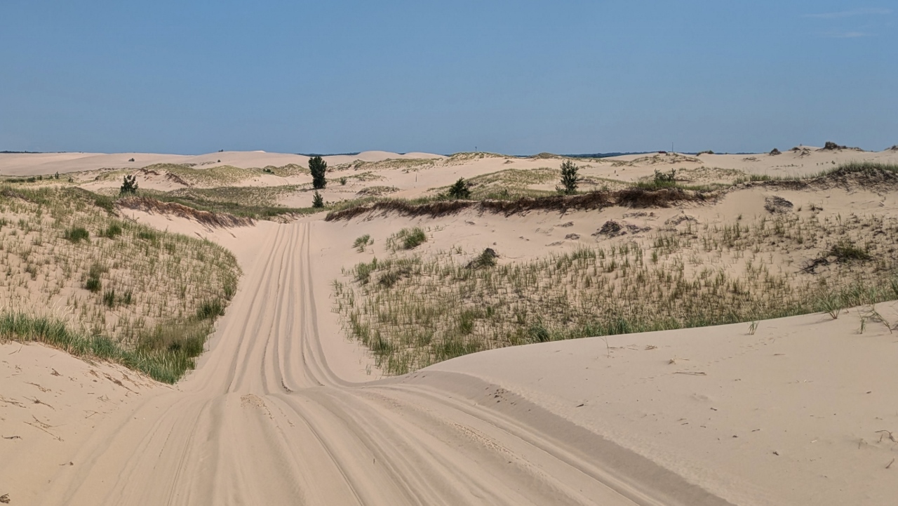 Constant Use by Dunes Rides Keeps Path Clear of Grasses