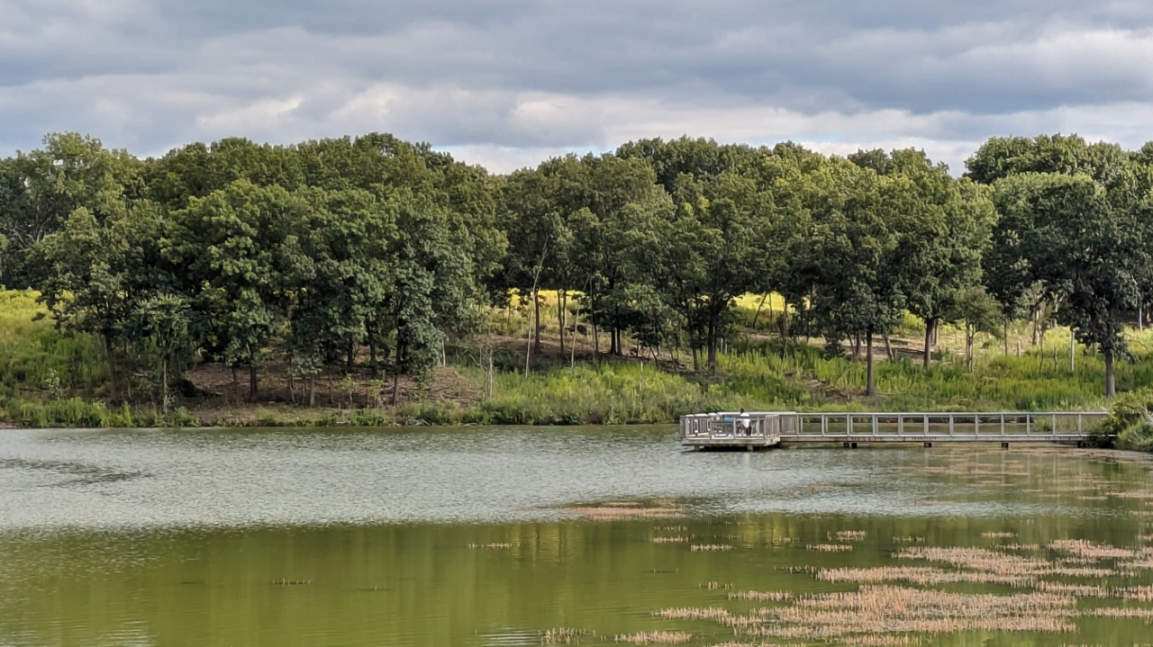 Pond Equipped with Fishing Pier