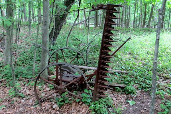 Abandoned Sickel-Bar Mower Along Trail - Just Like One Bill Used to Use Growing Up