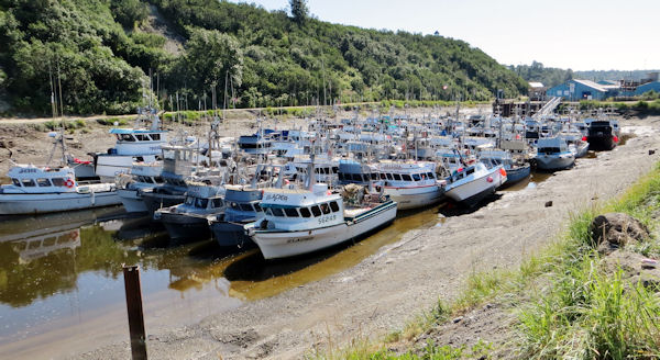 Ninilchik Boat Harbor Dries Out at Low Tide