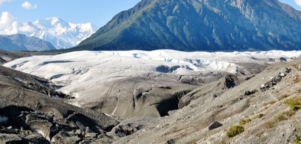 White Ice of Root Glacier Contrasts with Rock-Covered Kennicott Glacier