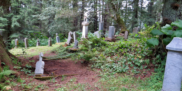 Russian Cemetery Being Taken Over by Rain Forest