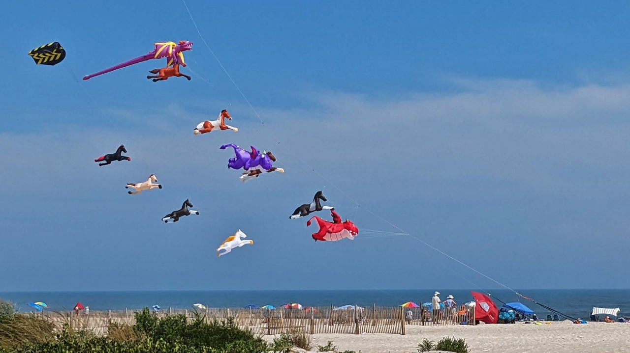Quite a Kite Display at the National Park Beach