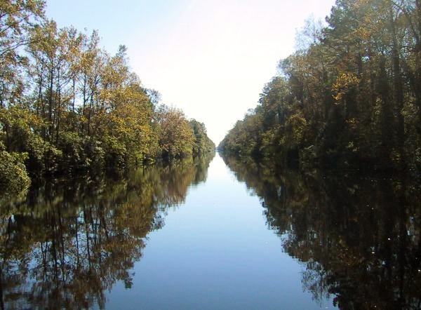 Dsimal Swamp Canal