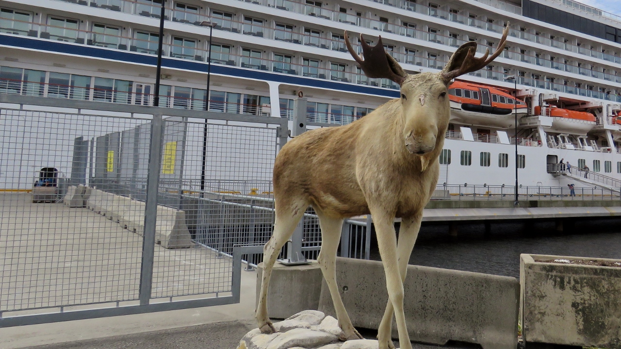 Stuffed Moose Greets Passengers at Kristiansand Cruise Ship Terminal