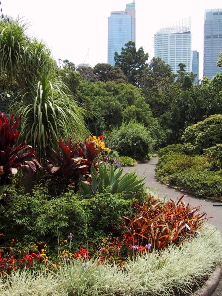Sydney Royal Botanical Gardens