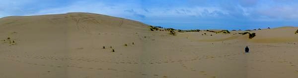 Can You Spot Sandy Posed On Oregon Dune